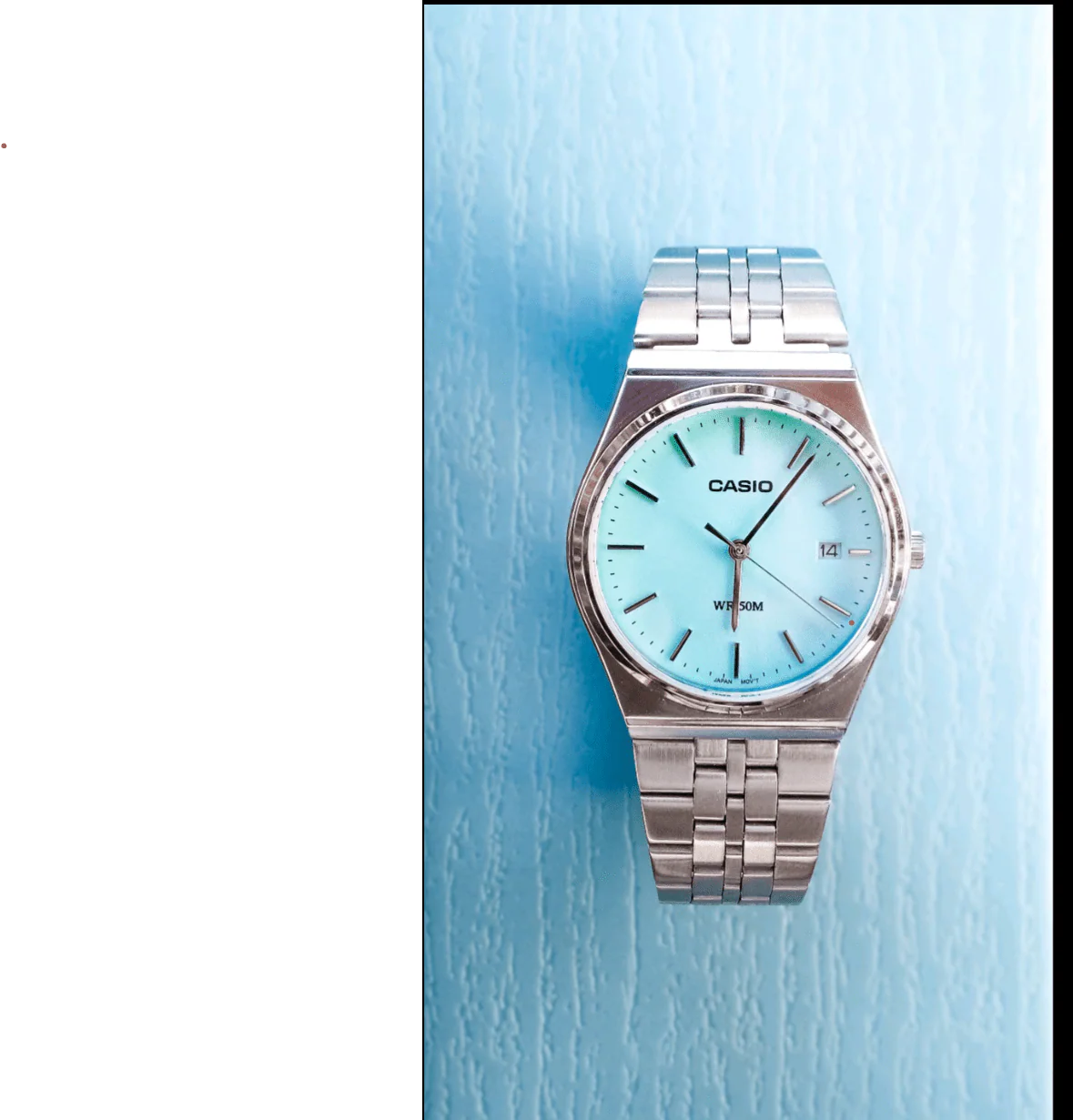 Casio Round Watch